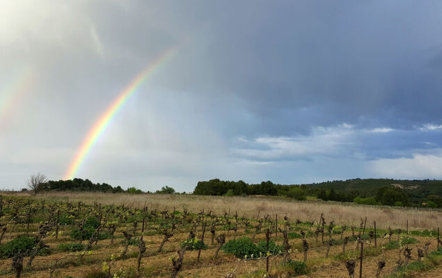 Les Terrasses de la Méditerranée - Photo 27