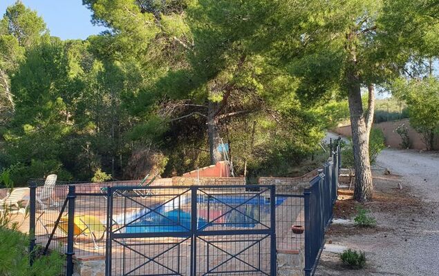 De la Cruz - Photo 31