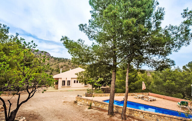 De la Cruz - Photo 34