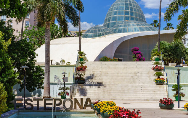 Las Granadillas - Photo 30