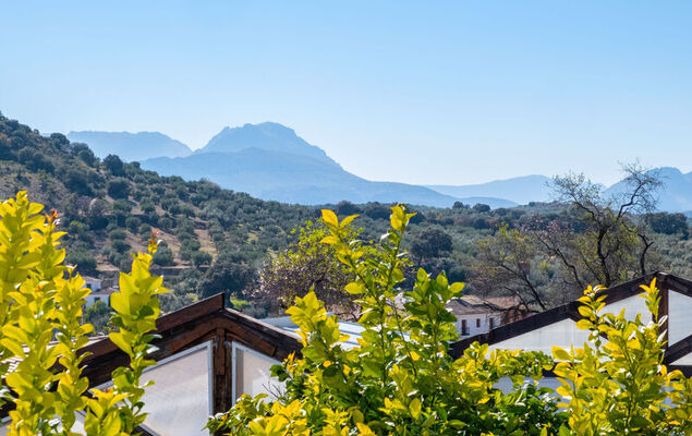 Nina Celi - Photo 26